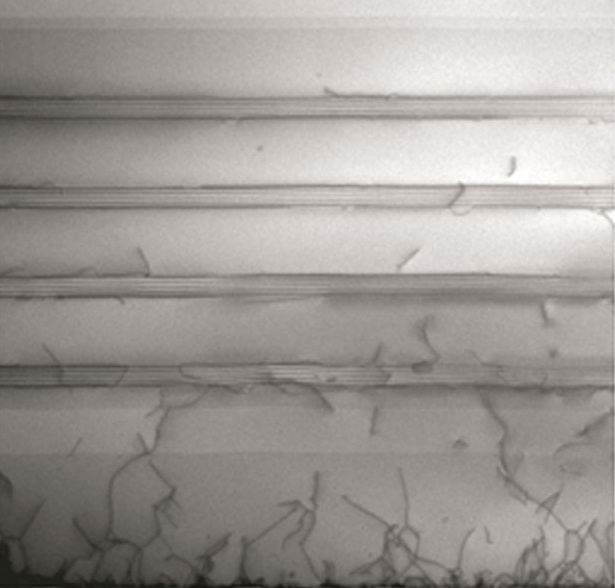 Изображение бездефектных слоев в сканирующем микроскопе